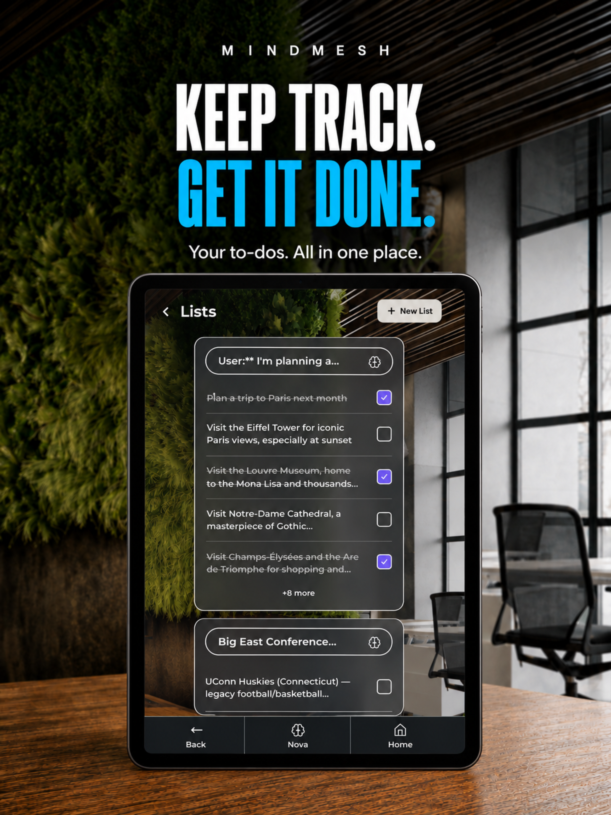 MindMesh Lists on iPad